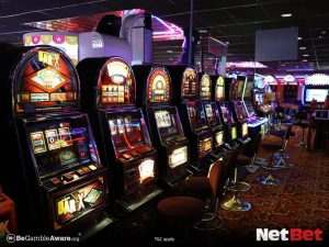 aquariusjogo - Registro Bet Login